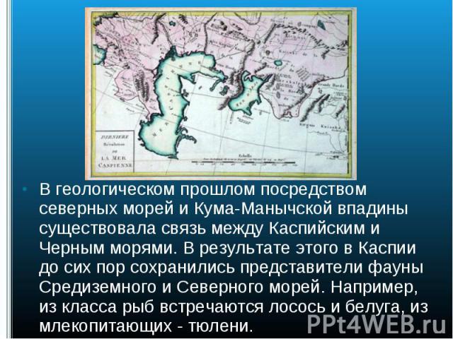 В геологическом прошлом посредством северных морей и Кума-Манычской впадины существовала связь между Каспийским и Черным морями. В результате этого в Каспии до сих пор сохранились представители фауны Средиземного и Северного морей. Например, из клас…
