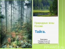 Природная зона России - Тайга