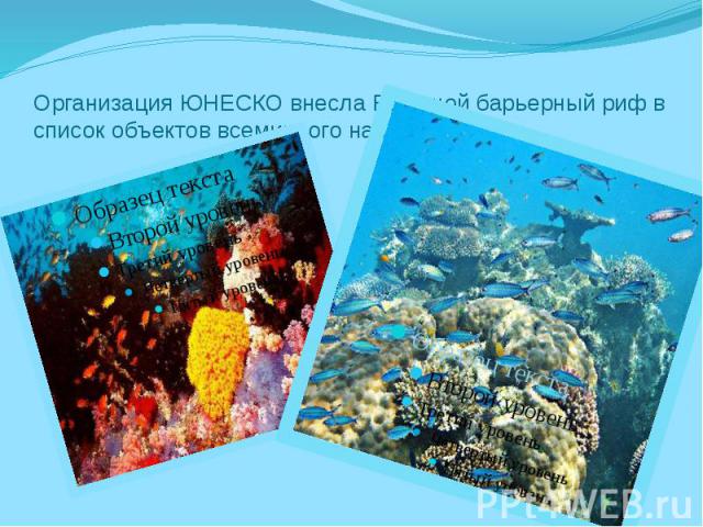 Организация ЮНЕСКО внесла Большой барьерный риф в список объектов всемирного наследия.