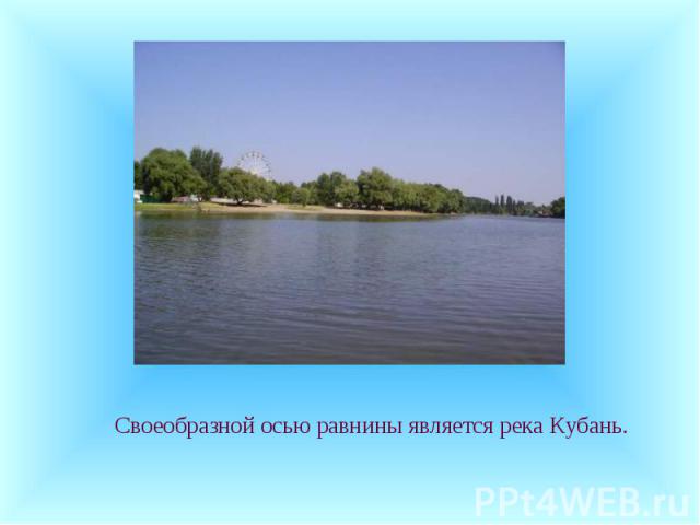 Своеобразной осью равнины является река Кубань. Своеобразной осью равнины является река Кубань.