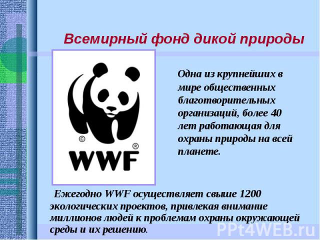 Ежегодно WWF осуществляет свыше 1200 экологических проектов, привлекая внимание миллионов людей к проблемам охраны окружающей среды и их решению. Ежегодно WWF осуществляет свыше 1200 экологических проектов, привлекая внимание миллионов людей к пробл…