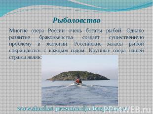 Рыболовство Многие озера России очень богаты рыбой. Однако развитие браконьерств