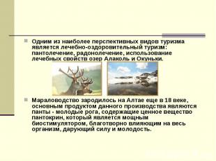 Одним из наиболее перспективных видов туризма является лечебно-оздоровительный т