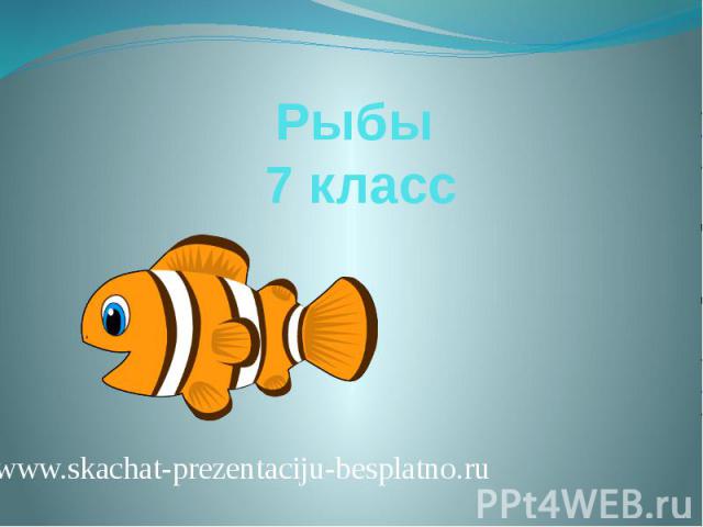 Рыбы 7 класс