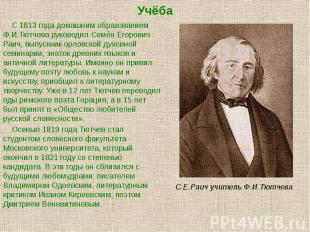 Учёба С 1813 года домашним образованием Ф.И.Тютчева руководил Семён Егорович Раи