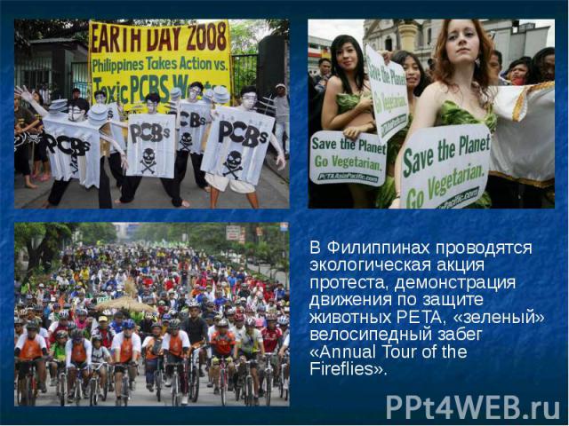 В Филиппинах проводятся экологическая акция протеста, демонстрация движения по защите животных PETA, «зеленый» велосипедный забег «Annual Tour of the Fireflies». В Филиппинах проводятся экологическая акция протеста, демонстрация движения п…