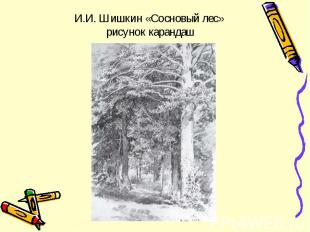 И.И. Шишкин «Сосновый лес» рисунок карандаш