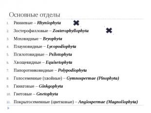 Основные отделы Риниевые – Rhyniophyta Зостерофилловые – Zosterophyllophyta Мохо