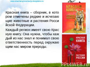 Красная книга – сборник, в котором отмечены редкие и исчезающие животные и расте