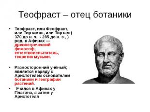 Теофраст – отец ботаники Теофраст, или Феофраст, или Тиртамос, или Тиртам ( 370
