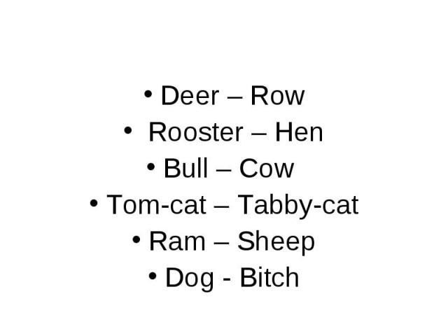 Deer – Row Deer – Row Rooster – Hen Bull – Cow Tom-cat – Tabby-cat Ram – Sheep Dog - Bitch