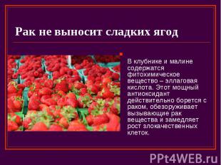 Рак не выносит сладких ягод В клубнике и малине содержатся фитохимическое вещест