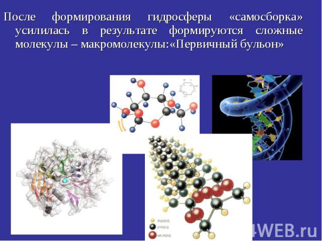 После формирования гидросферы «самосборка» усилилась в результате формируются сложные молекулы – макромолекулы:«Первичный бульон»