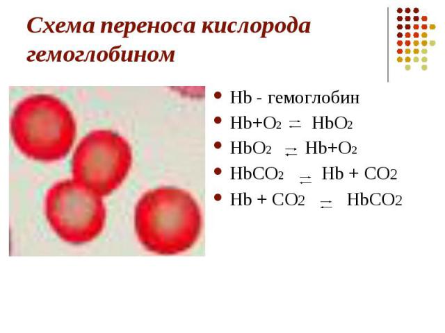 Схема переноса кислорода гемоглобином Hb - гемоглобин Hb+O2 HbO2 HbO2 Hb+O2 HbCO2 Hb + CO2 Hb + CO2 HbCO2