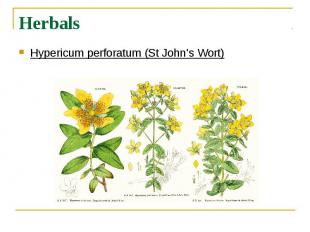 Herbals Hypericum perforatum (St John's Wort)
