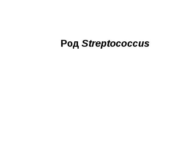 Род Streptococcus Род Streptococcus