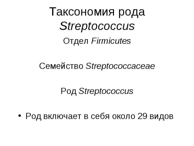 Отдел Firmicutes Отдел Firmicutes Семейство Streptococcaceae Род Streptococcus Род включает в себя около 29 видов