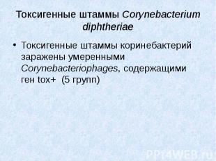 Токсигенные штаммы Corynebacterium diphtheriae Токсигенные штаммы коринебактерий