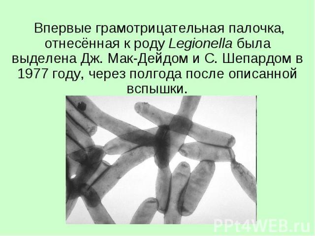 Впервые грамотрицательная палочка, отнесённая к роду Legionella была выделена Дж. Мак-Дейдом и С. Шепардом в 1977 году, через полгода после описанной вспышки.