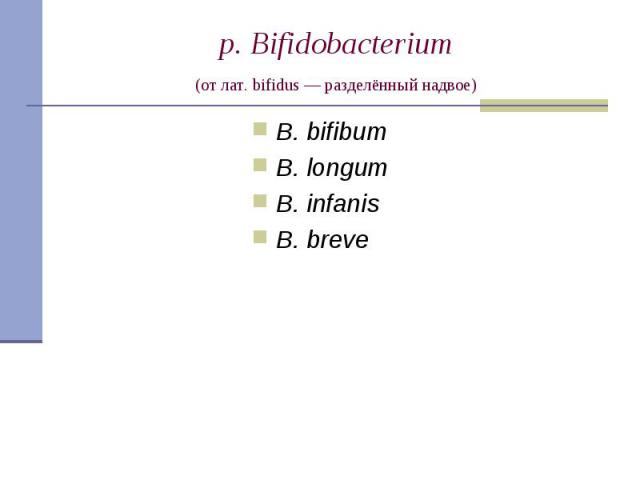B. bifibum B. bifibum B. longum B. infanis B. breve