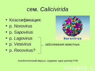 Классификация: Классификация: р. Norovirus р. Sapovirus р. Lagovirus р. Vesiviru