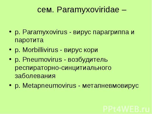 р. Paramyxovirus - вирус парагриппа и паротита р. Paramyxovirus - вирус парагриппа и паротита p. Morbillivirus - вирус кори p. Pneumovirus - возбудитель респираторно-синцитиального заболевания р. Metapneumovirus - метапневмовирус