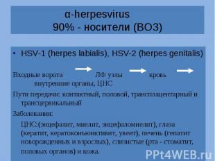 HSV-1 (herpes labialis), HSV-2 (herpes genitalis) HSV-1 (herpes labialis), HSV-2