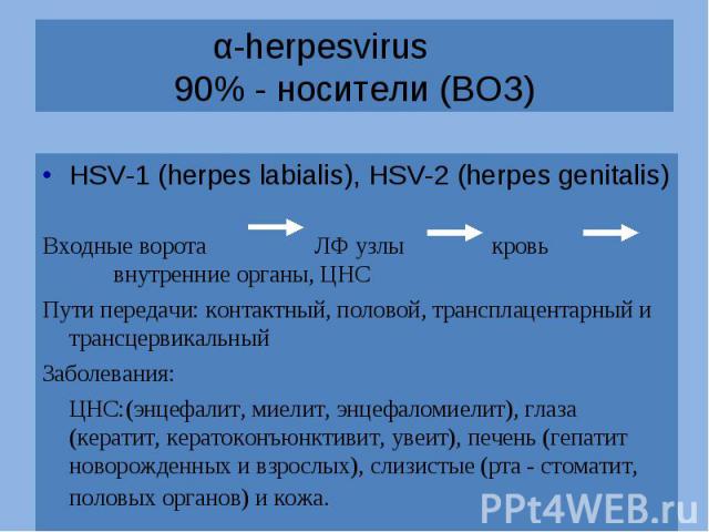 HSV-1 (herpes labialis), HSV-2 (herpes genitalis) HSV-1 (herpes labialis), HSV-2 (herpes genitalis) Входные ворота ЛФ узлы кровь внутренние органы, ЦНС Пути передачи: контактный, половой, трансплацентарный и трансцервикальный Заболевания: ЦНС:(энцеф…
