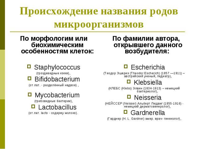 По морфологим или биохимическим особенностям клеток: По морфологим или биохимическим особенностям клеток: Staphylococcus (гроздевидные кокки), Bifidobacterium (от лат. - разделённый надвое) , Mycobacterium (грибовидные бактерии), Lactobacillus (от л…