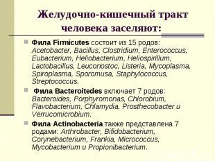 Фила Firmicutes состоит из 15 родов: Acetobacter, Bacillus, Сlostridium, Enteroc