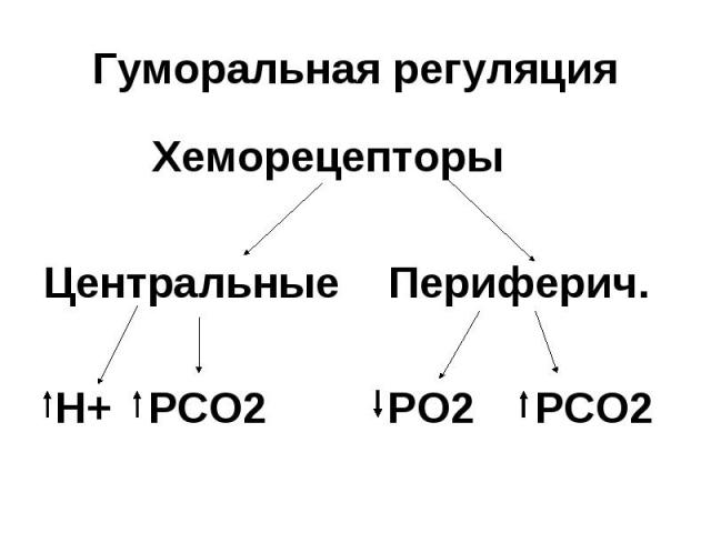 Хеморецепторы Хеморецепторы Центральные Периферич. Н+ РСО2 РО2 РСО2