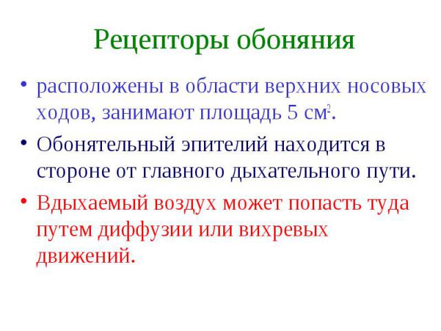 Рецепторы обоняния расположены в области верхних носовых ходов, занимают площадь 5 см2. Обонятельный эпителий находится в стороне от главного дыхательного пути. Вдыхаемый воздух может попасть туда путем диффузии или вихревых движений.