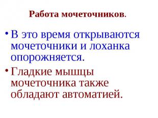 Работа мочеточников. В это время открываются мочеточники и лоханка опорожняется.