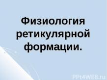 Физиология ретикулярной формации