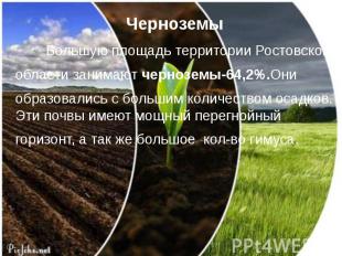 Черноземы Большую площадь территории Ростовской области занимают черноземы-64,2%