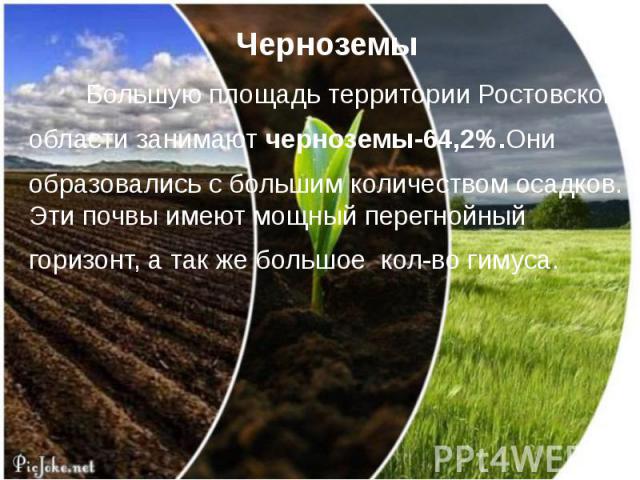 Черноземы Большую площадь территории Ростовской области занимают черноземы-64,2%.Они образовались с большим количеством осадков. Эти почвы имеют мощный перегнойный горизонт, а так же большое кол-во гимуса.