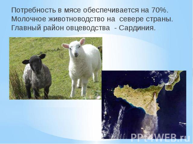 Потребность в мясе обеспечивается на 70%. Молочное животноводство на севере страны. Главный район овцеводства - Сардиния.