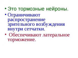 Это тормозные нейроны. Это тормозные нейроны. Ограничивают распространение зрите