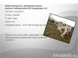 Животноводство, преимущественно мясного направления (2/5 продукции с/х) Животнов