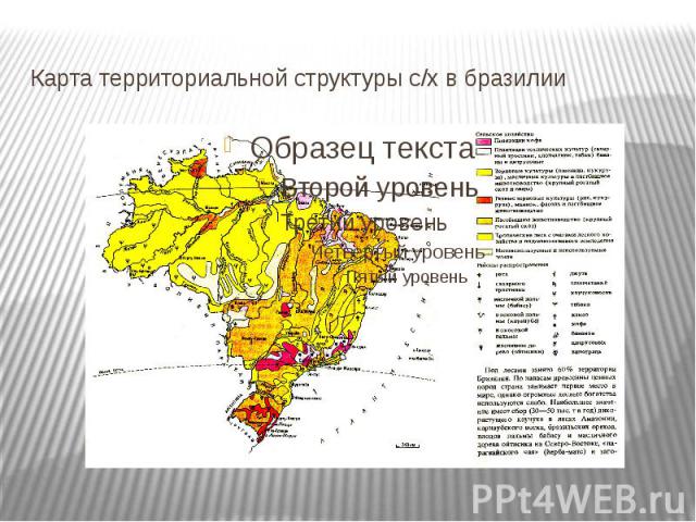 Карта территориальной структуры с/х в бразилии