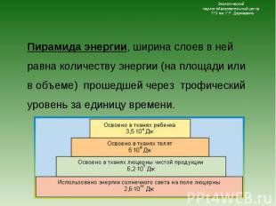 Пирамида энергии, ширина слоев в ней равна количеству энергии (на площади или в