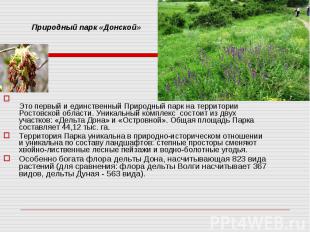 Это первый и единственный Природный парк на территории Ростовской области. Уника