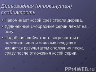 Древовидная (опрокинутая) слойчатость Напоминает косой срез ствола дерева. Удлин