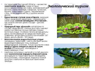 На территории Ростовской области – множество памятников природы, среди которых Ш