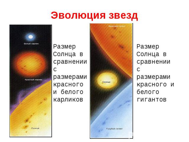 Размер Солнца в сравнении с размерами красного и белого карликов Размер Солнца в сравнении с размерами красного и белого карликов