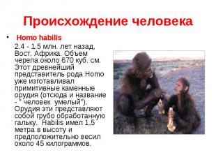 Homo habilis Homo habilis 2.4 - 1.5 млн. лет назад, Вост. Африка. Объем черепа о
