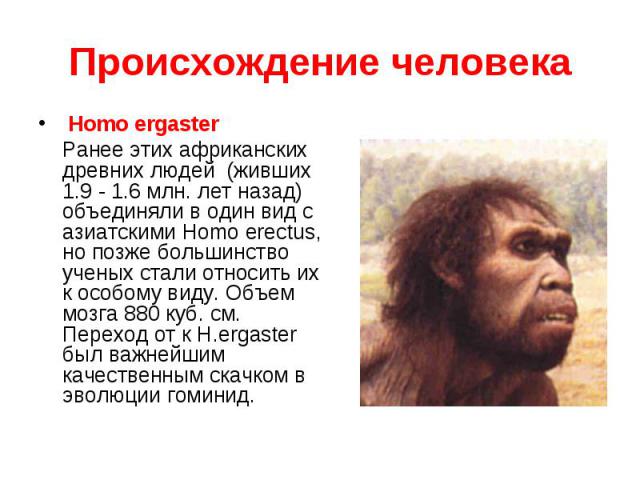 Homo ergaster Homo ergaster Ранее этих африканских древних людей  (живших 1.9 - 1.6 млн. лет назад) объединяли в один вид с азиатскими Homo erectus, но позже большинство ученых стали относить их к особому виду. Объем мозга 880 куб. см. Пер…