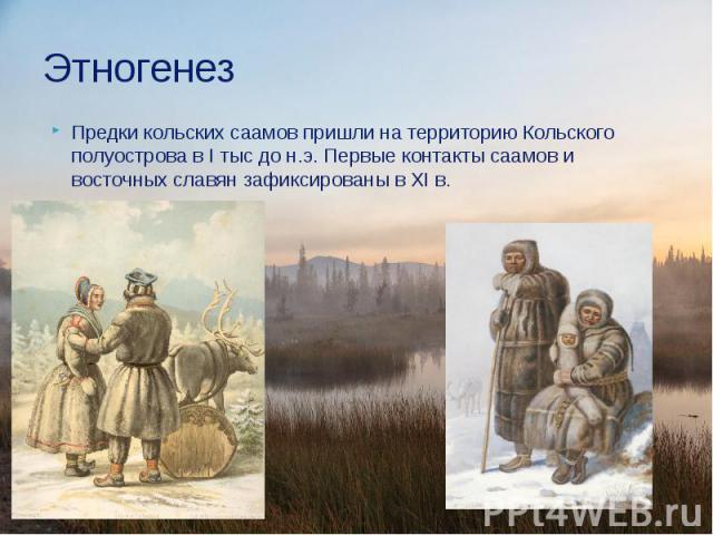 Этногенез Предки кольских саамов пришли на территорию Кольского полуострова в I тыс до н.э. Первые контакты саамов и восточных славян зафиксированы в XI в.