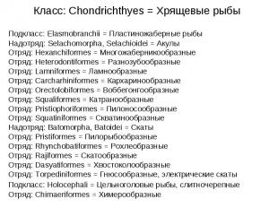 Класс: Chondrichthyes = Хрящевые рыбы Подкласс: Elasmobranchii = Пластиножаберны