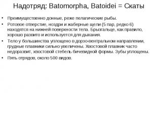 Надотряд: Batomorpha, Batoidei = Скаты Преимущественно донные, реже пелагические